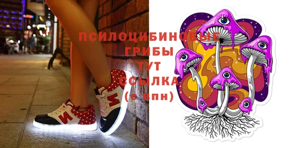 прущая мука Аркадак