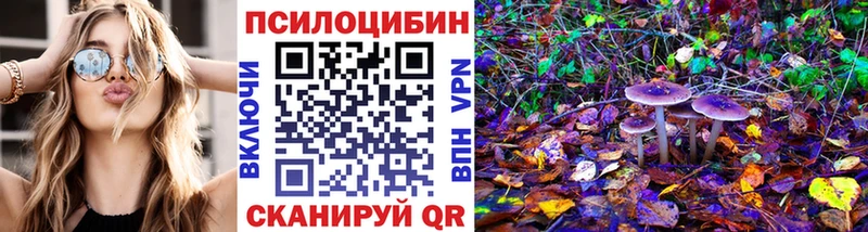 где найти   Багратионовск  Галлюциногенные грибы мицелий 